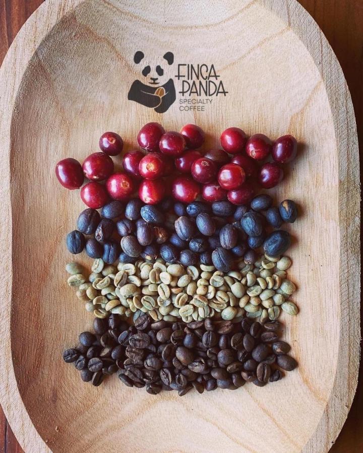 Finca Panda Boquete Εξωτερικό φωτογραφία