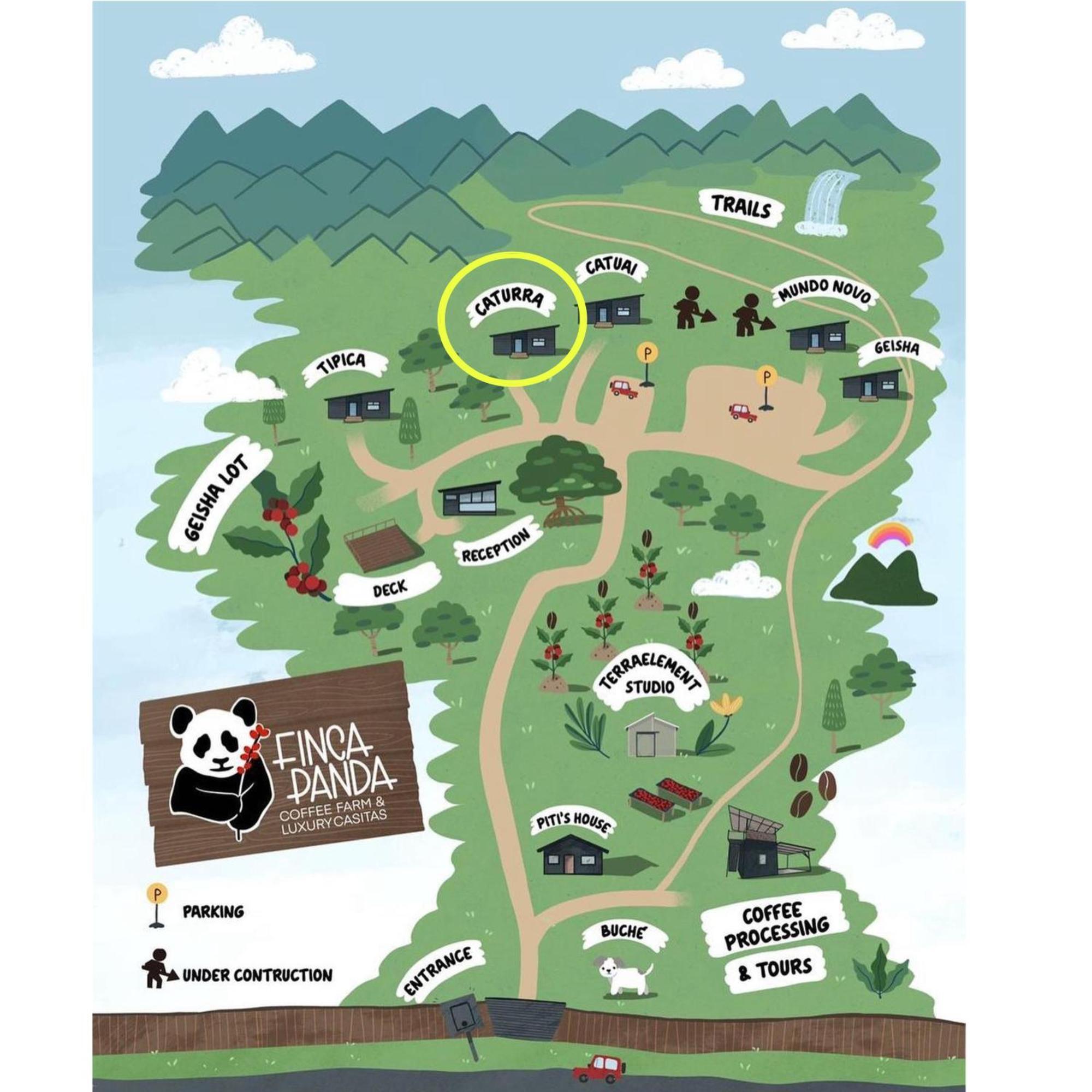 Finca Panda Boquete Εξωτερικό φωτογραφία